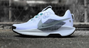 Trilha Nike Pegasus 5