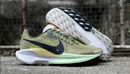 Trilha Nike Pegasus 5