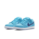 NIke Dunk