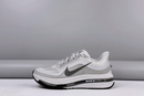 Nike Pegasus Premium