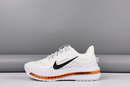 Nike Pegasus Premium