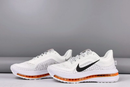 Nike Pegasus Premium