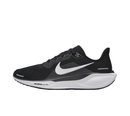 Nike Pegasus 41