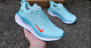Nike Infinity Run 4