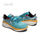Nike Vomero 17